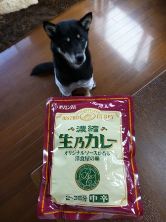 生乃カレー1
