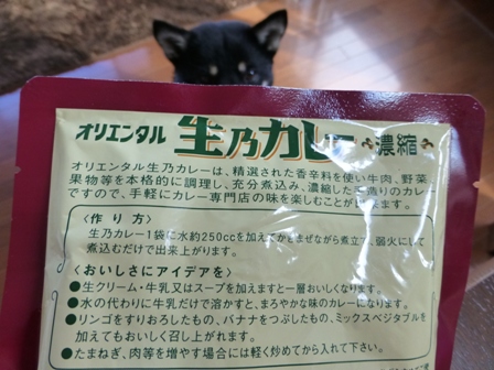 生乃カレー2