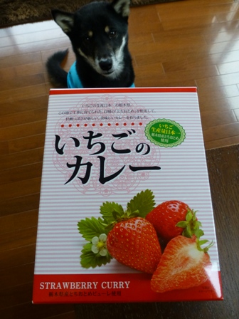 いちごカレー2