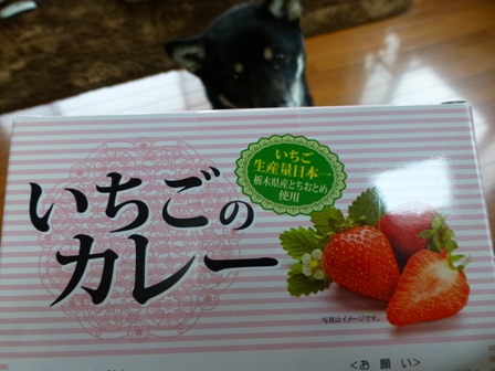 いちごカレー3