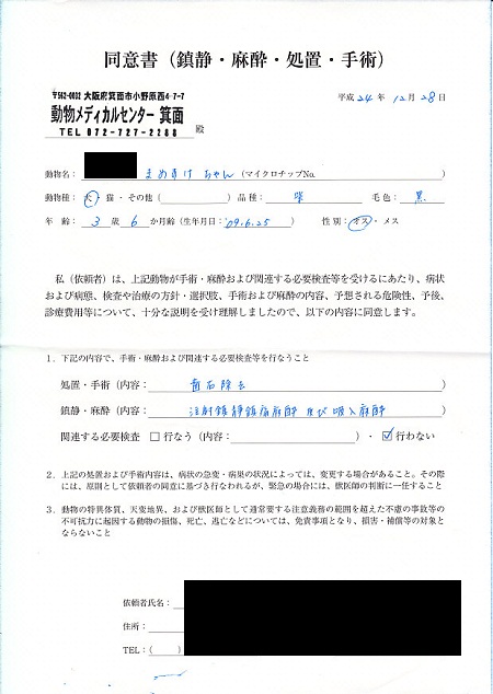 1228歯石除去11