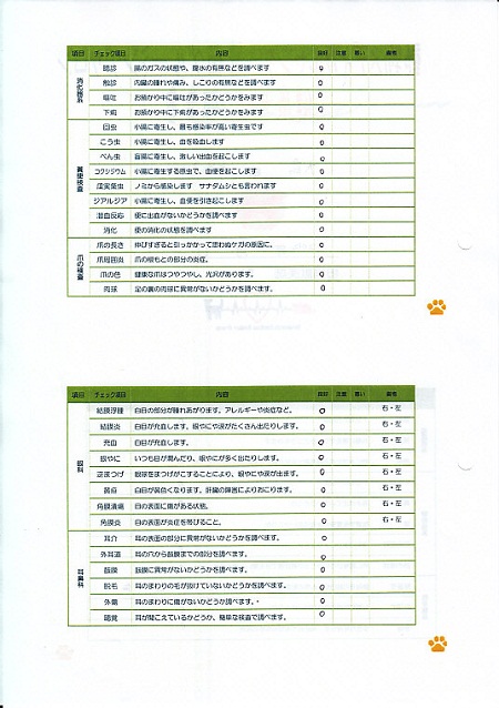 1228歯石除去14