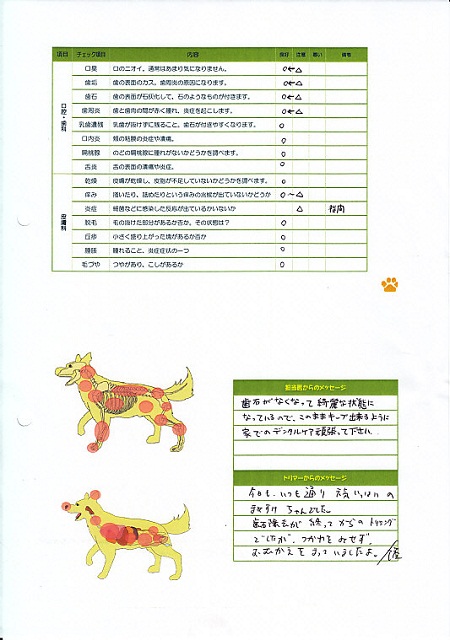 1228歯石除去15