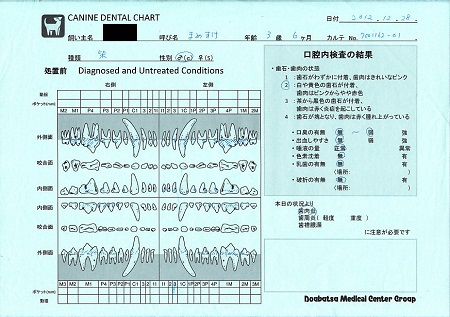 1228歯石除去16