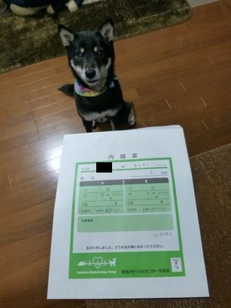 1228歯石除去17