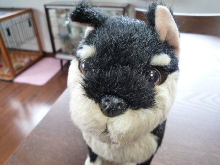 弟の現状1