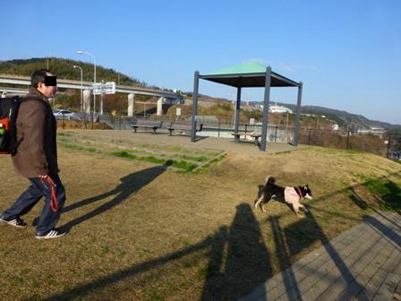 淡路立川水仙郷4