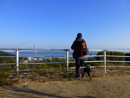 淡路立川水仙郷5