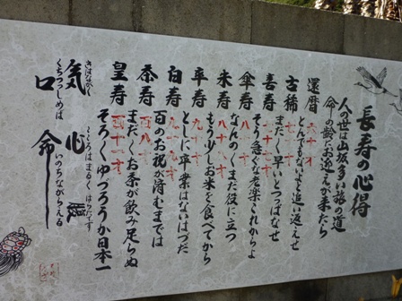 淡路立川水仙郷10