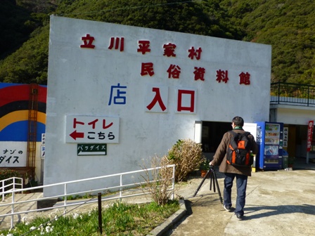 淡路立川水仙郷11