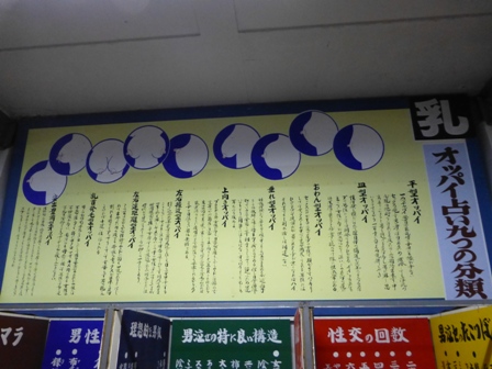 淡路立川水仙郷21