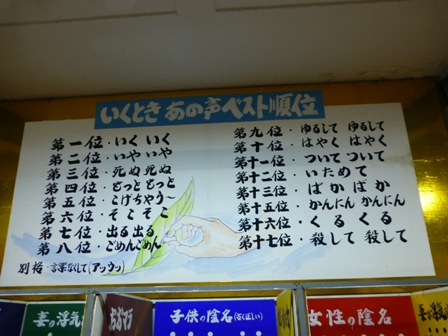 淡路立川水仙郷22
