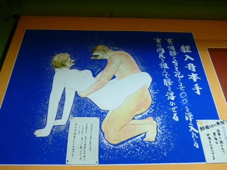 淡路立川水仙郷24