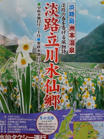 淡路立川水仙郷33