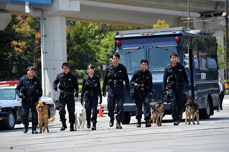 DOG×POLICE6
