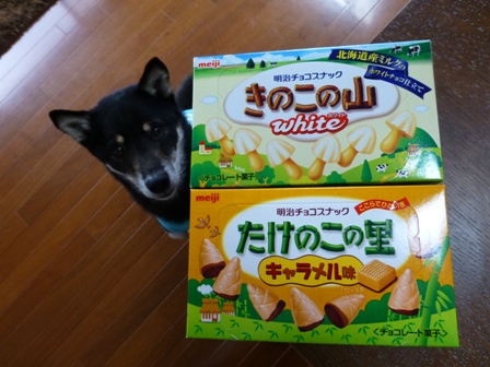 きのこの山たけのこの里1
