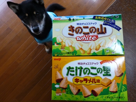 きのこの山たけのこの里2