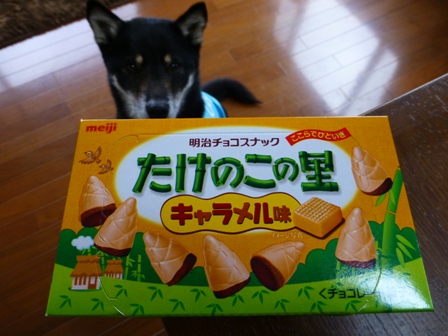 きのこの山たけのこの里4