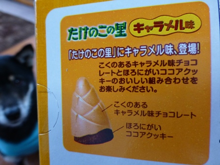 きのこの山たけのこの里6