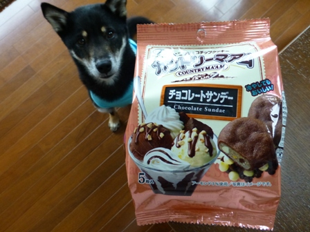 カントリーマアムチョコサンデー1