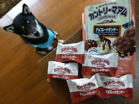 カントリーマアムチョコサンデー6