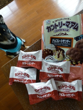カントリーマアムチョコサンデー7