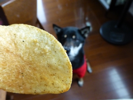 こだわりの七味9