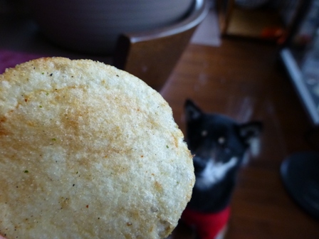 こだわりの七味13