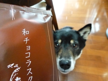 和チョコラスク1