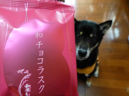 和チョコラスクストロベリー1