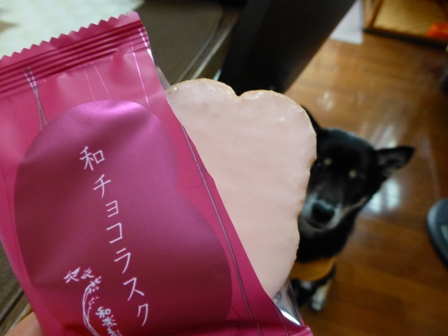 和チョコラスクストロベリー2