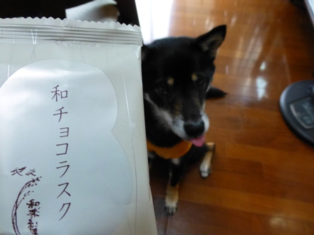 和チョコラスクホワイト1