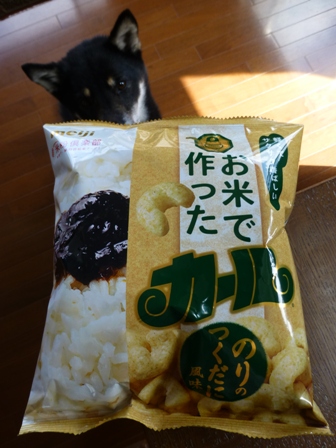 お米で作ったカール2