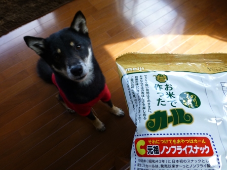 お米で作ったカール3