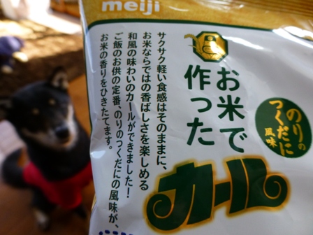 お米で作ったカール4