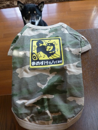犬屋Tシャツ2