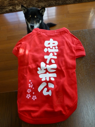 犬屋Tシャツ4
