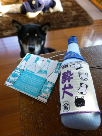 犬屋Tシャツ5