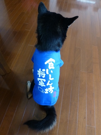犬屋Tシャツ8