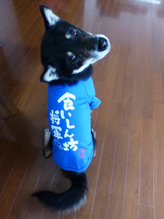 犬屋Tシャツ9