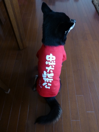 犬屋Tシャツ16