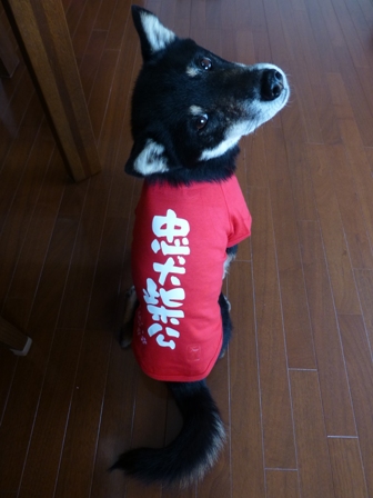 犬屋Tシャツ17