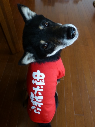 犬屋Tシャツ18