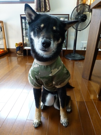 犬屋Tシャツ20