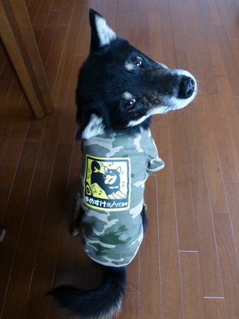 犬屋Tシャツ22