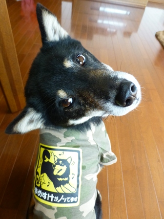 犬屋Tシャツ24