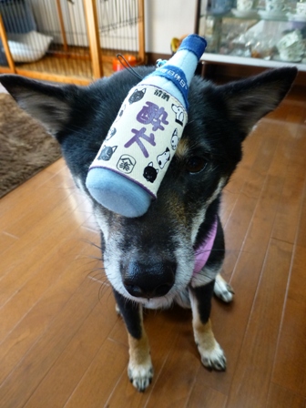 犬屋Tシャツ26