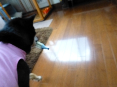 犬屋Tシャツ35