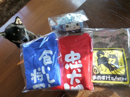 犬屋Tシャツ38