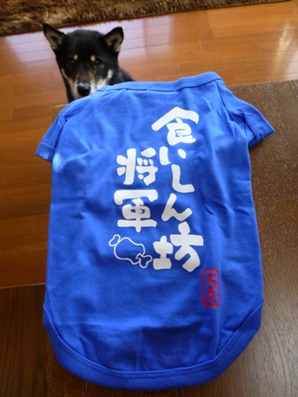 犬屋Tシャツ40